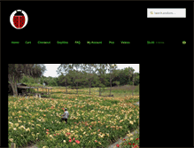 Tablet Screenshot of ladybugdaylilies.com
